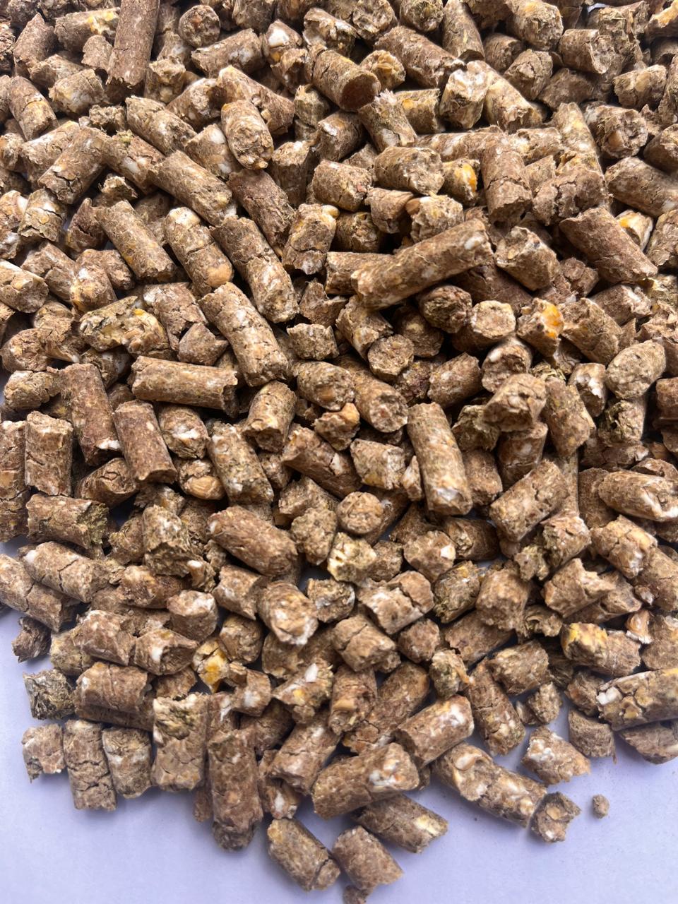 Chamelle FEED Details
